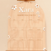 First Birthday Photo Board - Daisy Theme