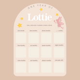 First Birthday Photo Board - Fairy Theme